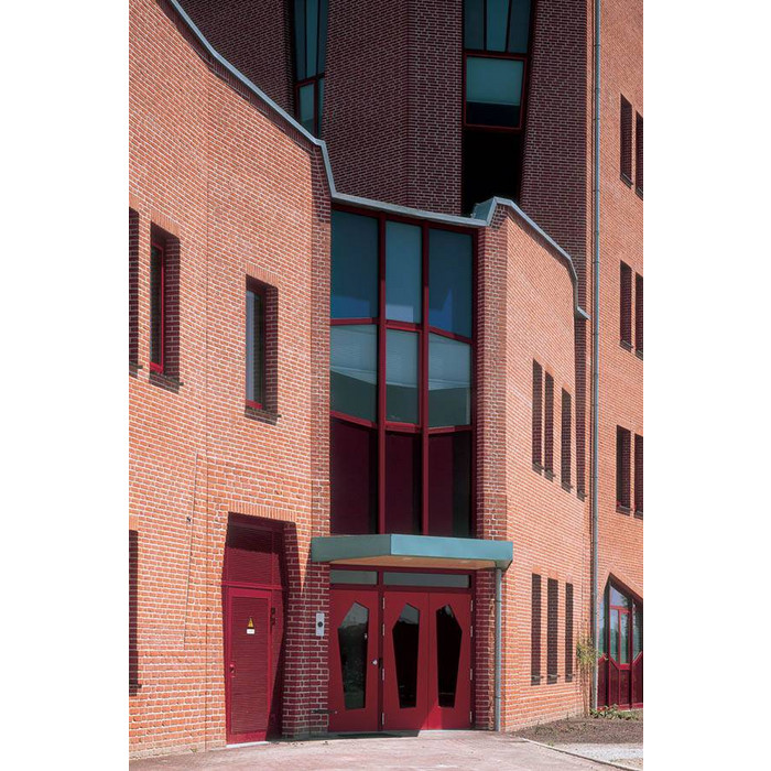 Кирпич S.Anselmo Superior Line Breda, Selmo, 250х120х55 мм фото 9