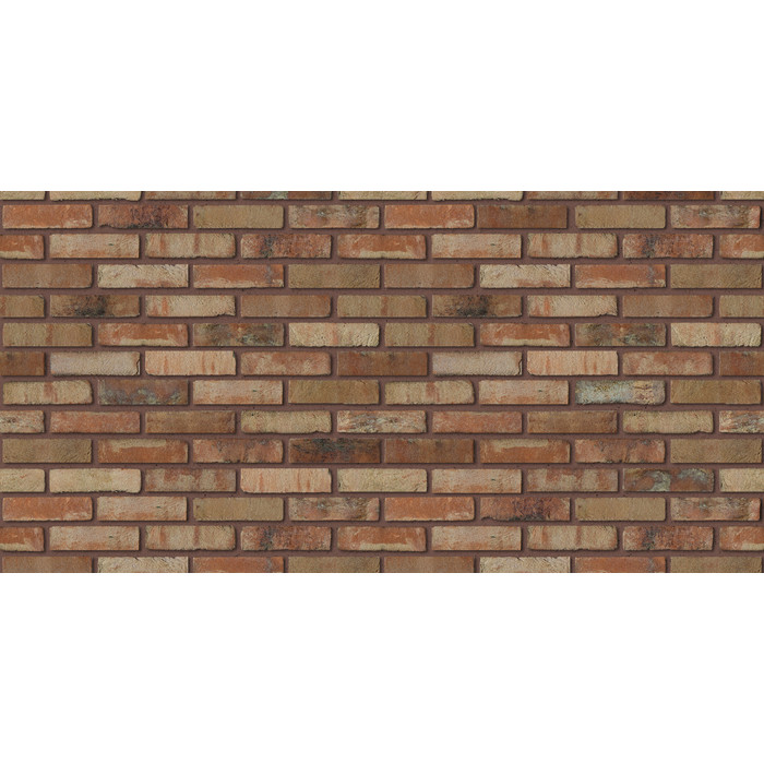 Кирпич S.Anselmo Superior Line Ecocolor, Selmo, 250х120х55 мм фото 6