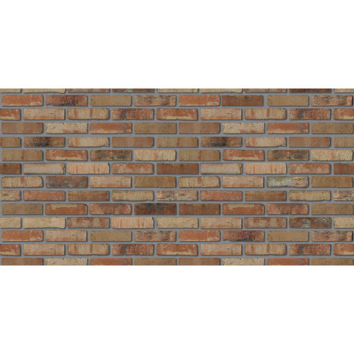 Кирпич S.Anselmo Superior Line Ecocolor, Selmo, 250х120х55 мм фото 4