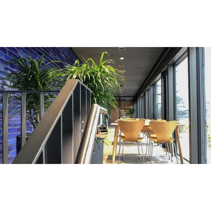 Глазурованный кирпич S.Anselmo Blue, 240х115х70 мм фото 2