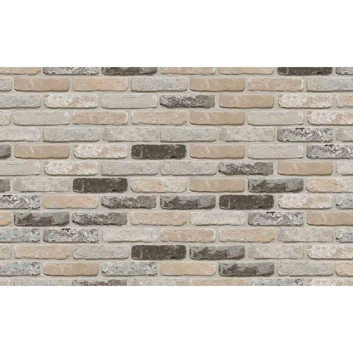 Кирпич облицовочный Terca Oud Leerne, 215х102х50 мм фото 2