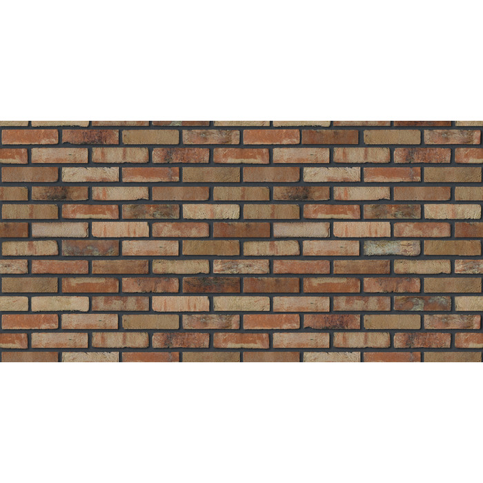 Кирпич S.Anselmo Superior Line Ecocolor, Selmo, 240х55х70 мм фото 7