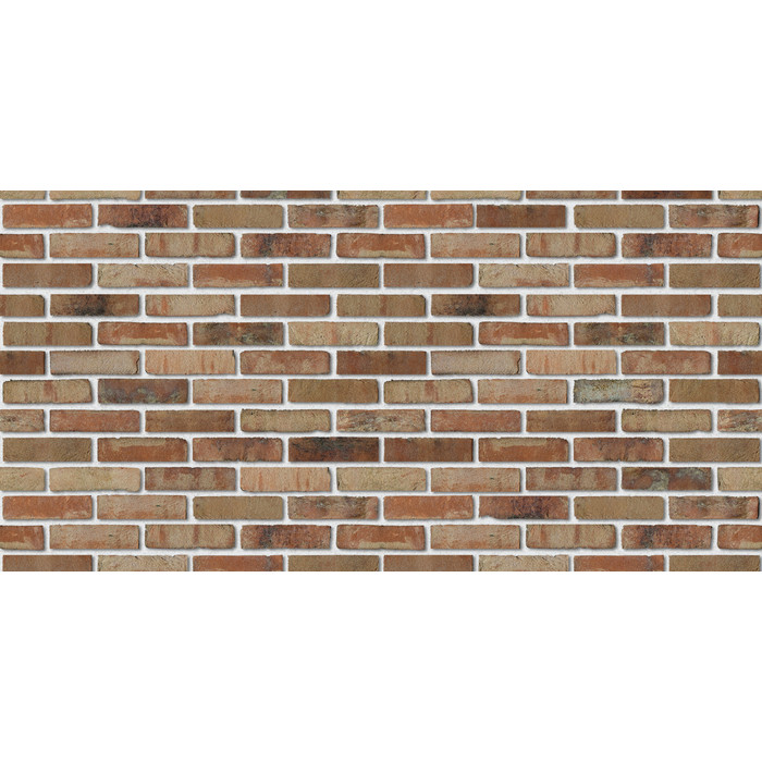 Кирпич S.Anselmo Superior Line Ecocolor, Selmo, 240х55х70 мм фото 3