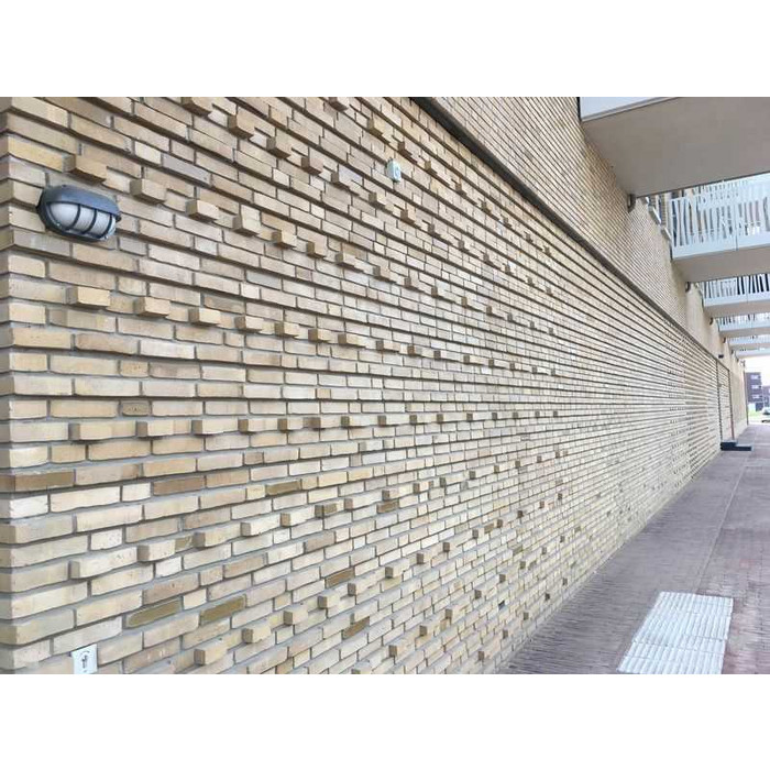 Кирпич облицовочный ENGELS Mosagaat-smook, 215х102х51 мм фото 8