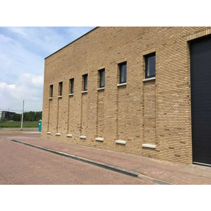 Кирпич облицовочный ENGELS Mosagaat-smook, 215х102х51 мм фото 3