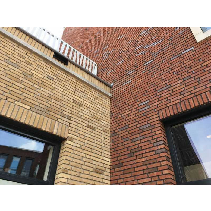 Кирпич облицовочный ENGELS Mosagaat-smook, 215х102х51 мм фото 2