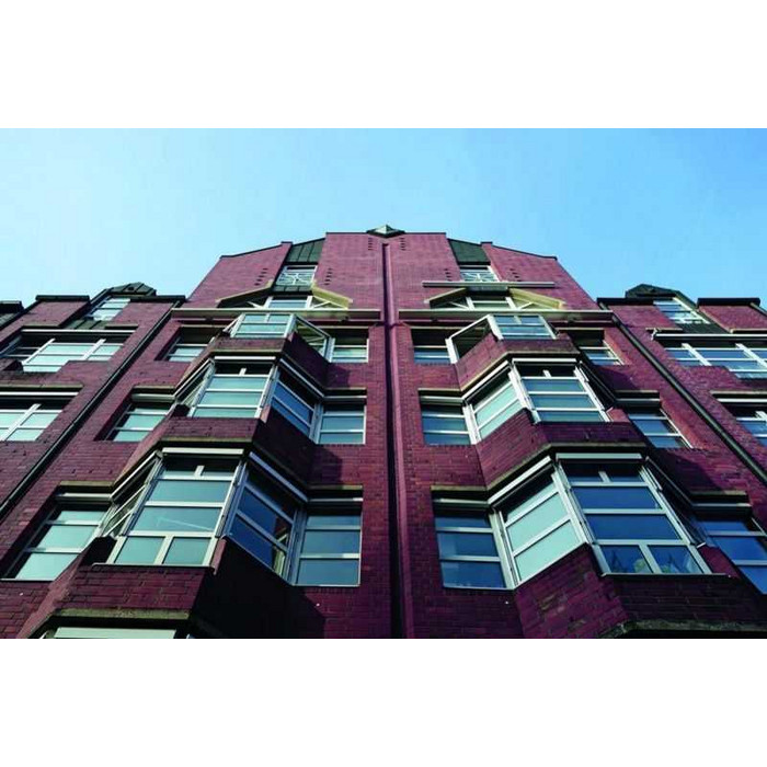 Кирпич облицовочный пустотелый Lode Andromeda, 250х120х65 мм фото 4