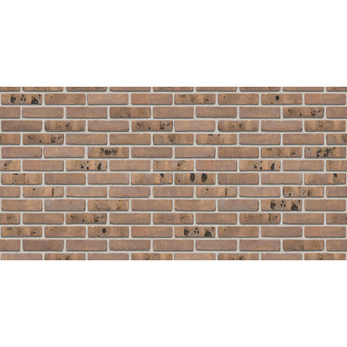 Кирпич S.Anselmo Superior Line Glazgo, Standart, 240х55х70 мм фото 3