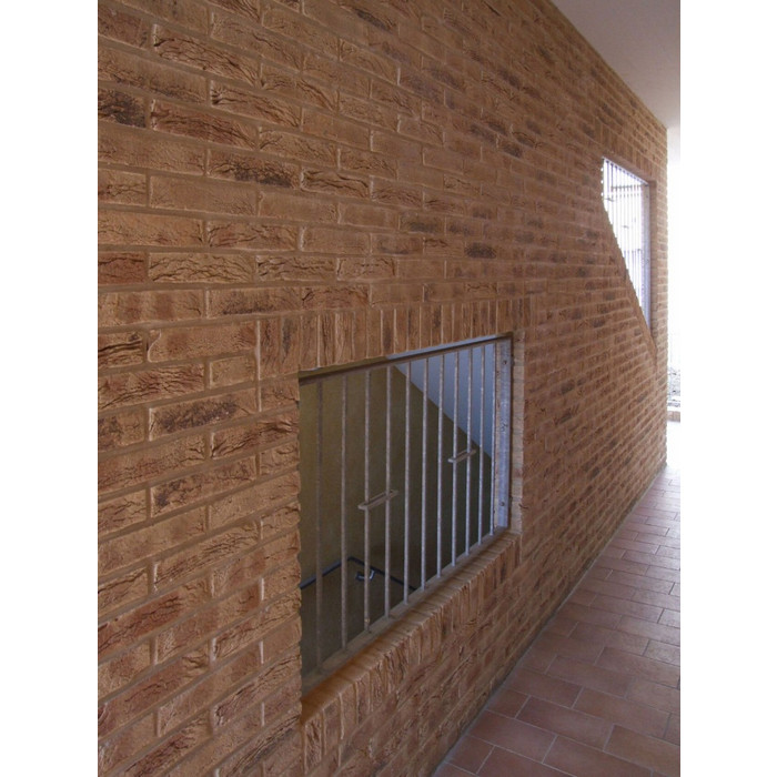 Кирпич S.Anselmo Superior Line Irlanda, Selmo, 240х55х70 мм фото 7