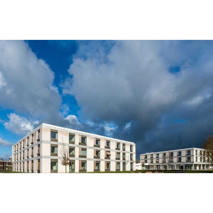 Кирпич облицовочный Terca Elignia Arctica, 288х90х48 мм фото 8