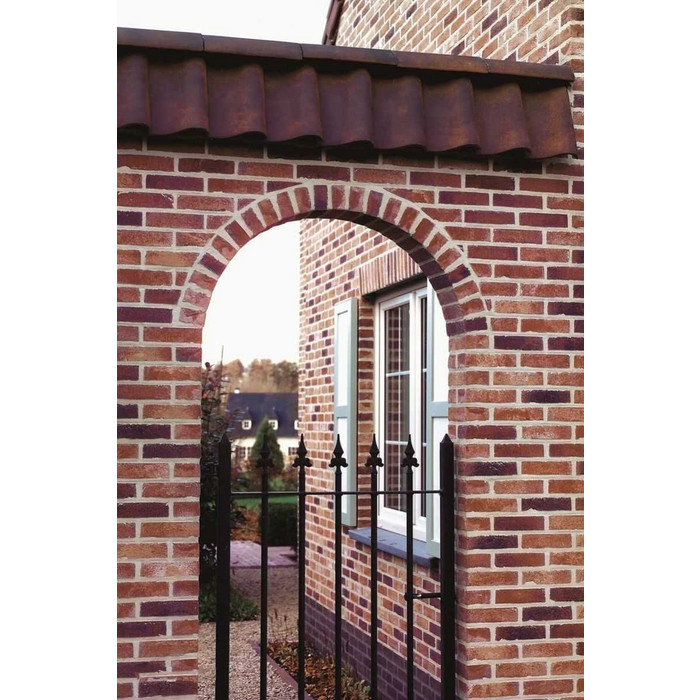 Кирпич облицовочный Terca Bijou, 215х45-50х65 мм фото 2