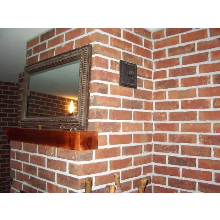 Кирпич облицовочный Terca Bijou, 215х45-50х65 мм фото 10