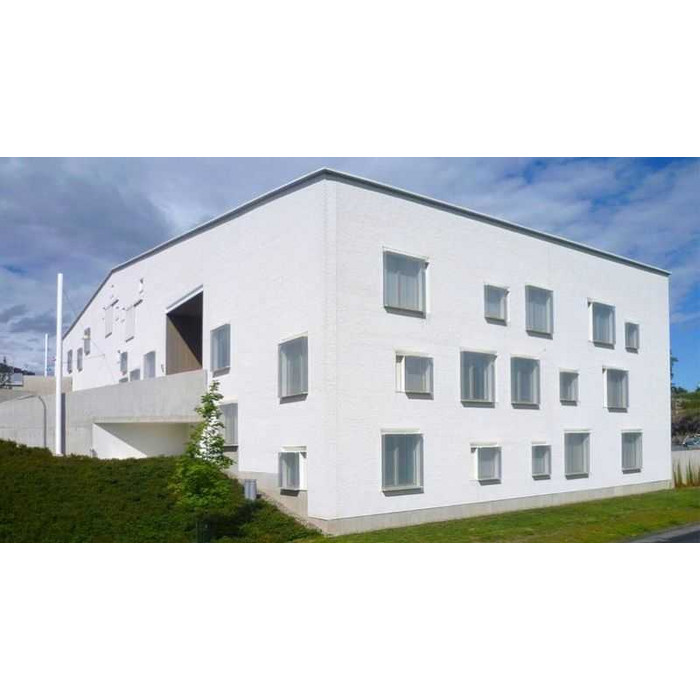 Кирпич облицовочный Terca Super white, 285х85х60 мм фото 2