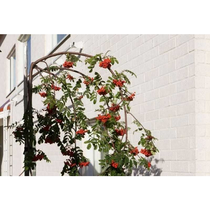 Кирпич облицовочный Terca Tuohi, 285х85х75 мм фото 5