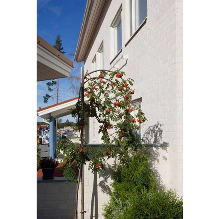 Кирпич облицовочный Terca Tuohi, 285х85х75 мм фото 3