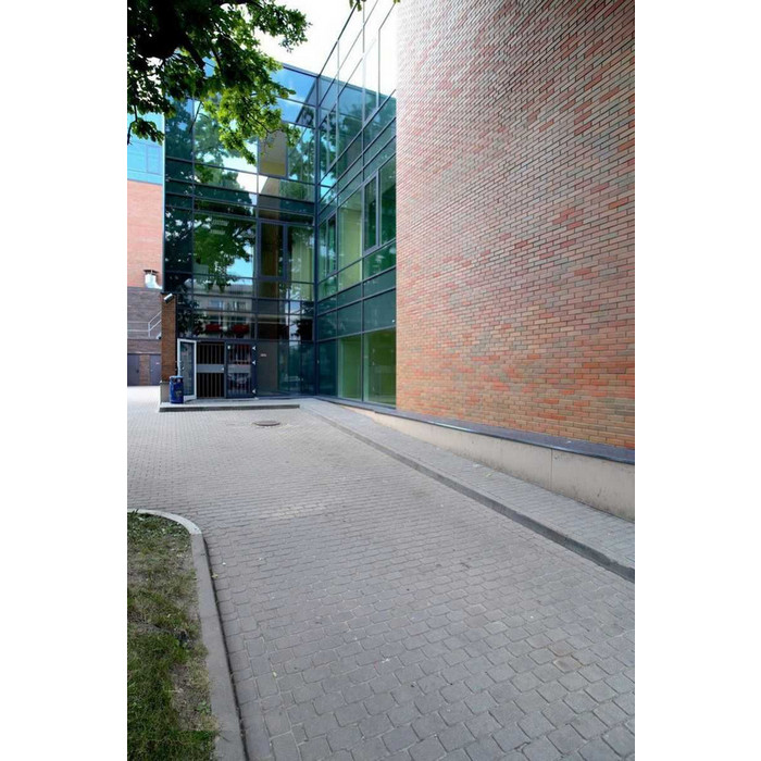 Кирпич облицовочный пустотелый Lode Rudite гладкий, 250х85х65 мм фото 8