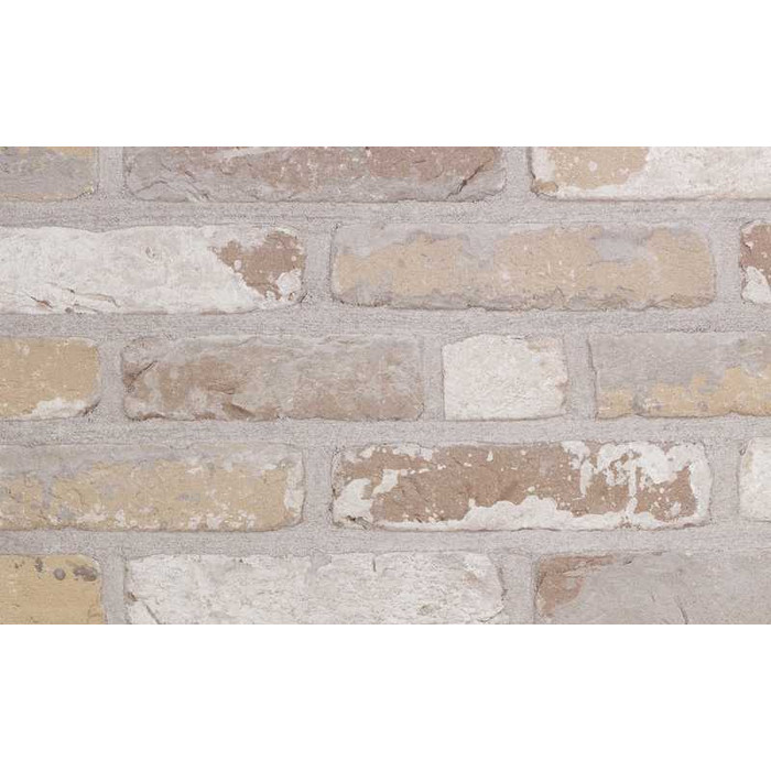 Кирпич облицовочный Terca Oud Laethem, 215х102х50 мм