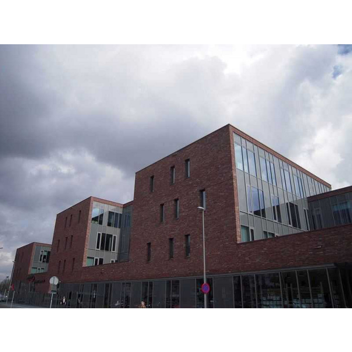 Кирпич облицовочный Terca Dragor 210х100х50 мм фото 3