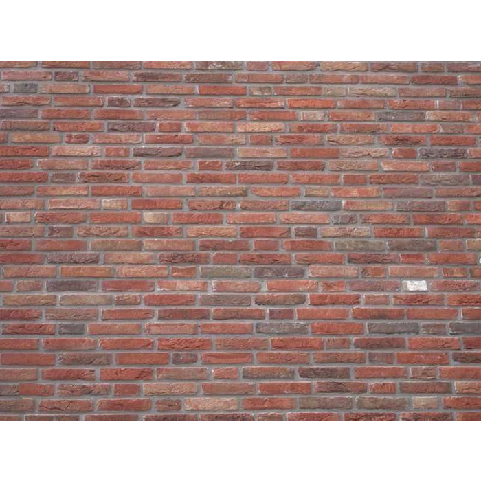 Кирпич облицовочный Terca Dragor 210х100х50 мм фото 5