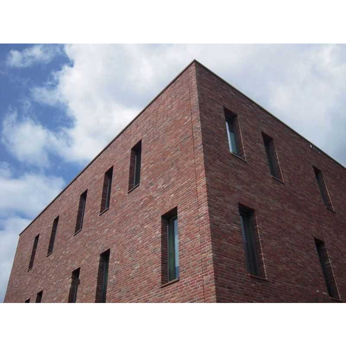 Кирпич облицовочный Terca Dragor 210х100х50 мм фото 4