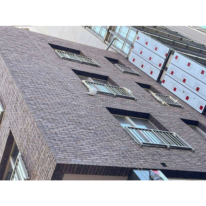 Кирпич S.Anselmo Superior Line Milano, Selmo, 240х55х70 мм фото 7