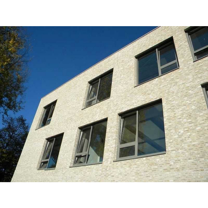 Кирпич Terca Brons Rustiek Marziale облицовочный 215х45-50х65 мм фото 4