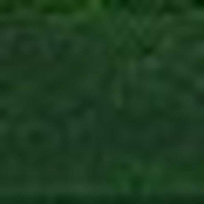 Глазурованный кирпич S.Anselmo Dark green, 215х102х65 мм фото 4