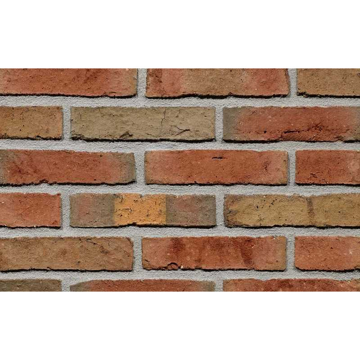 Кирпич облицовочный Terca Niagara Falls 210х100х50 мм