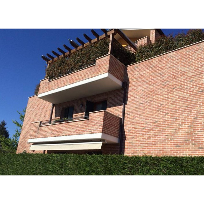 Кирпич S.Anselmo Custom blend TL, Selmo, 250х120х55 мм фото 8