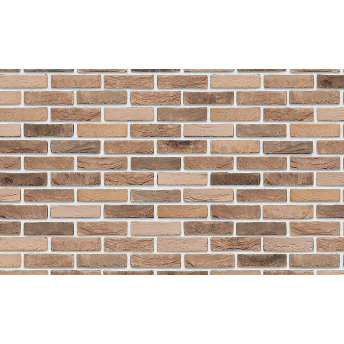 Кирпич S.Anselmo Custom blend RV, Selmo, 250х120х55 мм фото 10