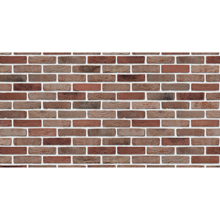 Кирпич S.Anselmo Custom blend BS, Selmo, 250х60х55 мм фото 3