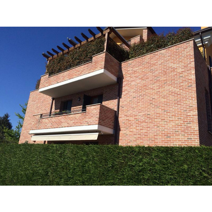 Кирпич S.Anselmo Custom blend NC, Selmo, 250х60х55 мм фото 4