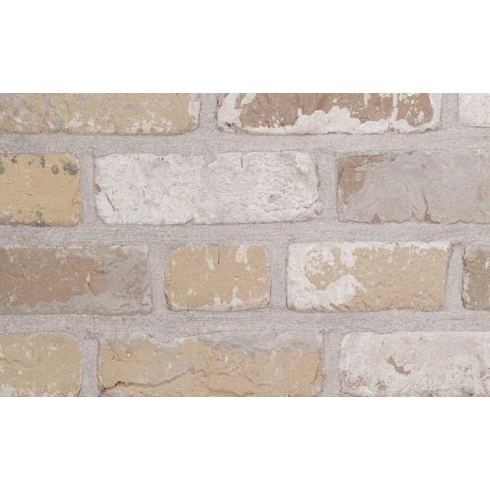 Кирпич облицовочный Terca Oud Laethem, 215х102х65 мм