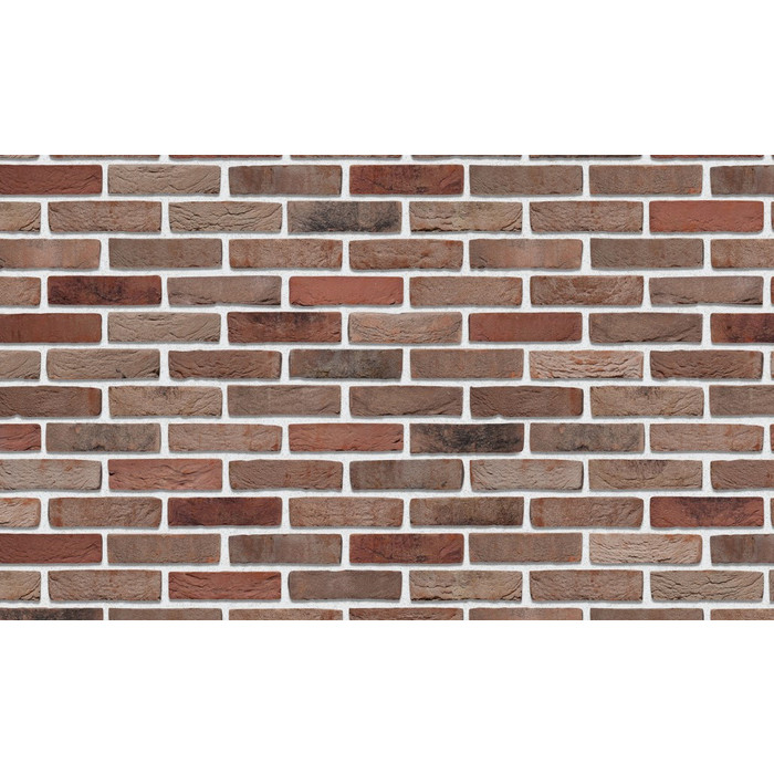 Кирпич S.Anselmo Custom blend ST, Selmo, 250х60х55 мм фото 8