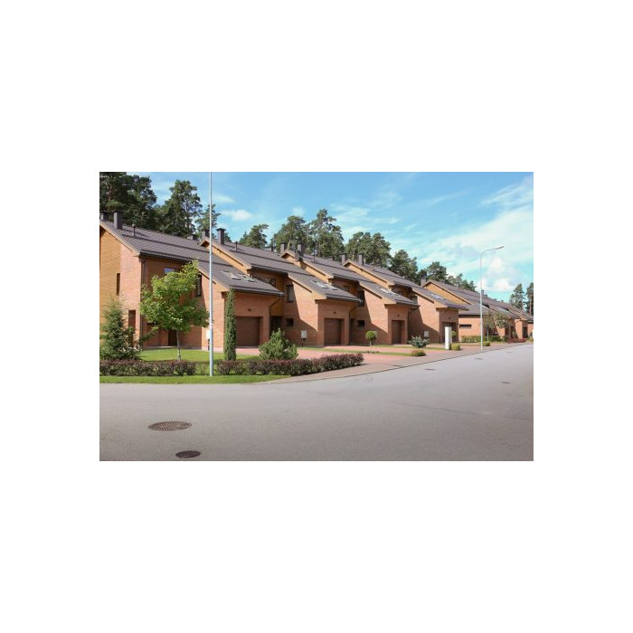 Кирпич облицовочный полнотелый Lode Skarbā Rudite, 250х85х65 мм