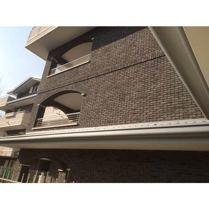 Кирпич S.Anselmo Superior Line Vintage Bruciato, Selmo, 250х120х55 мм фото 11