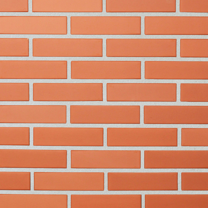 Кирпич облицовочный полнотелый Lode Janka чешский гладкий, 250х140х65 мм