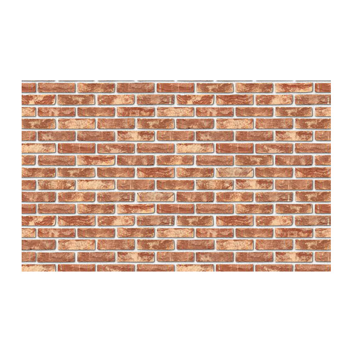 Кирпич S.Anselmo Superior Line Algeria, Selmo, 250х60х55 мм фото 4