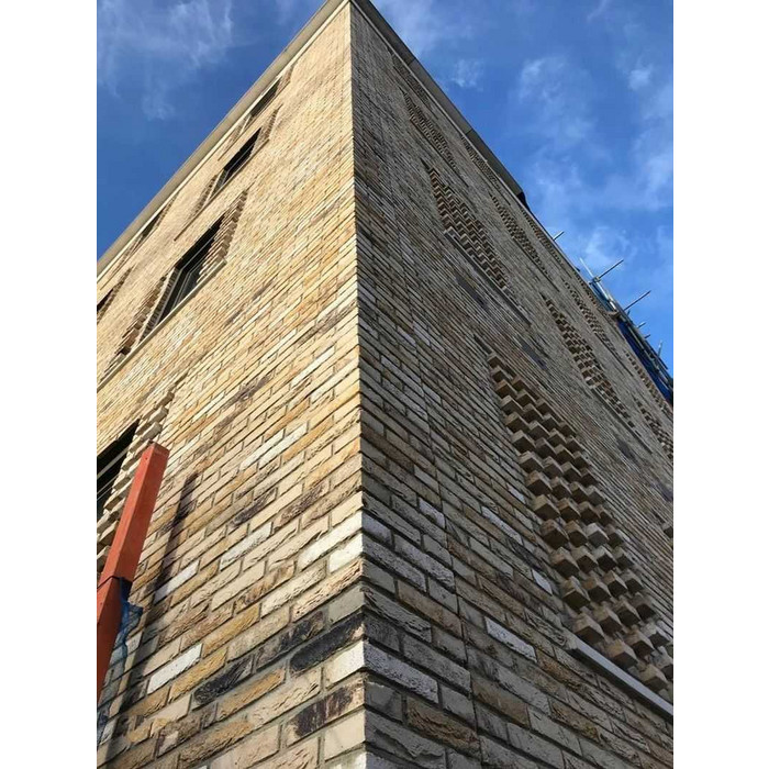 Кирпич облицовочный ENGELS Ladoga, 214х103х65 мм фото 3