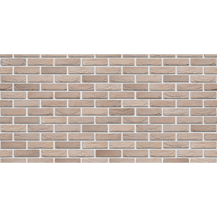 Кирпич S.Anselmo Superior Line Colonia, Selmo, 250х60х55 мм фото 3