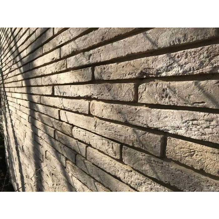 Кирпич S.Anselmo Corso Selmo VTB, 500х50х40 мм фото 8