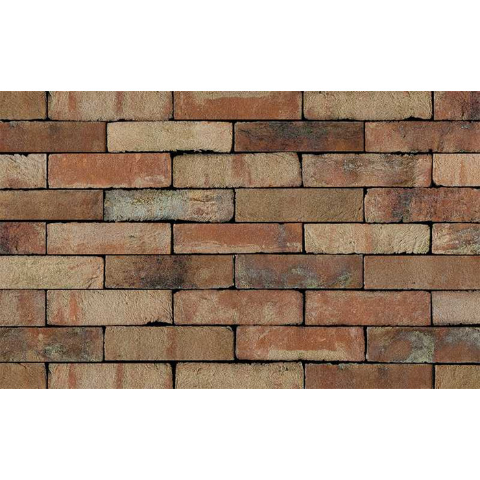 Кирпич S.Anselmo Superior Line Ecocolor, Selmo, 250х60х55 мм