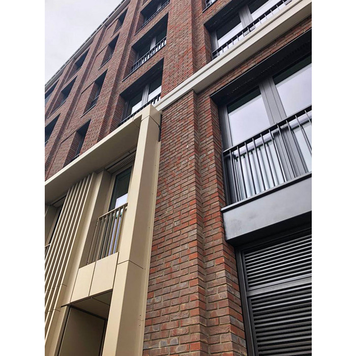 Кирпич S.Anselmo Superior Line Ecocolor, Selmo, 250х60х55 мм фото 8