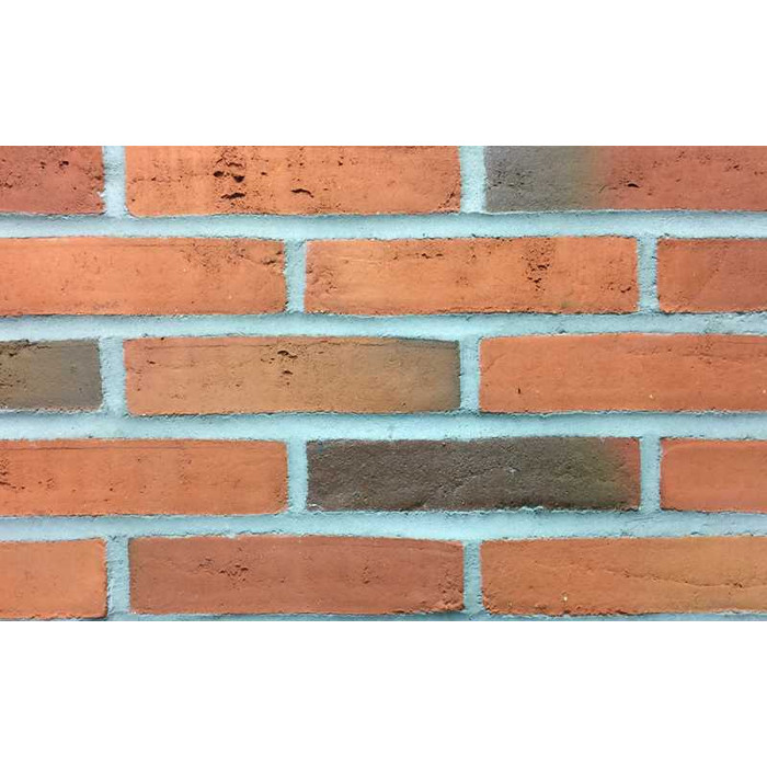 Кирпич облицовочный Randers Tegl Classica RT418, 228х108х54 мм