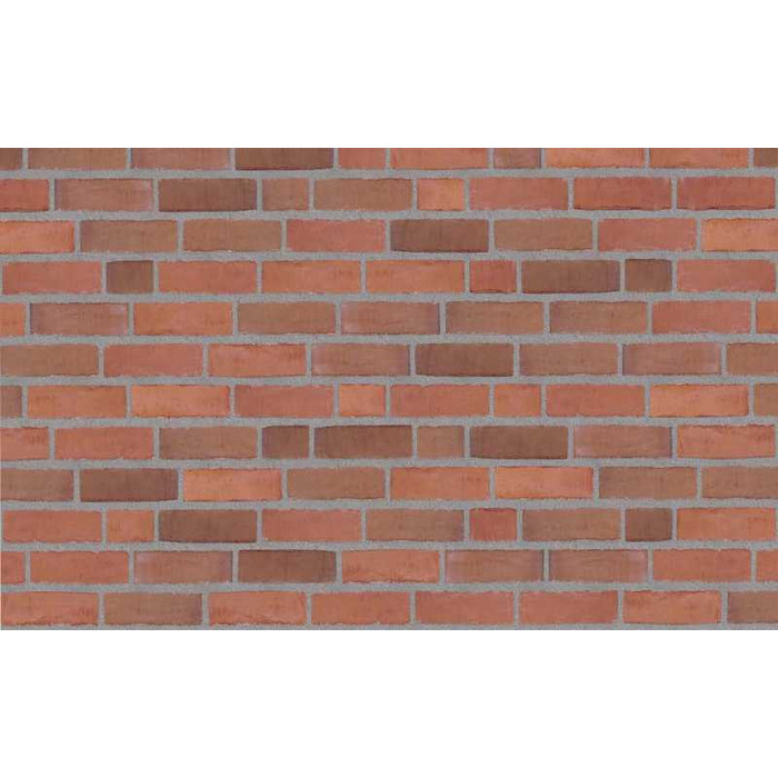 Кирпич облицовочный Randers Tegl Classica RT448, 215х50х65 мм