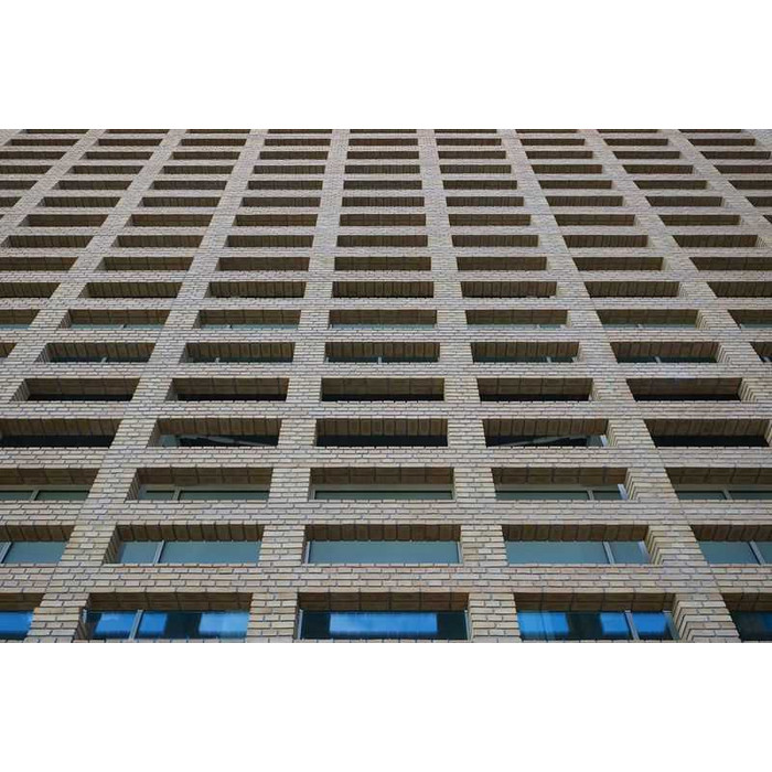 Кирпич облицовочный Randers Tegl Classica RT207, 215х102х65 мм фото 7