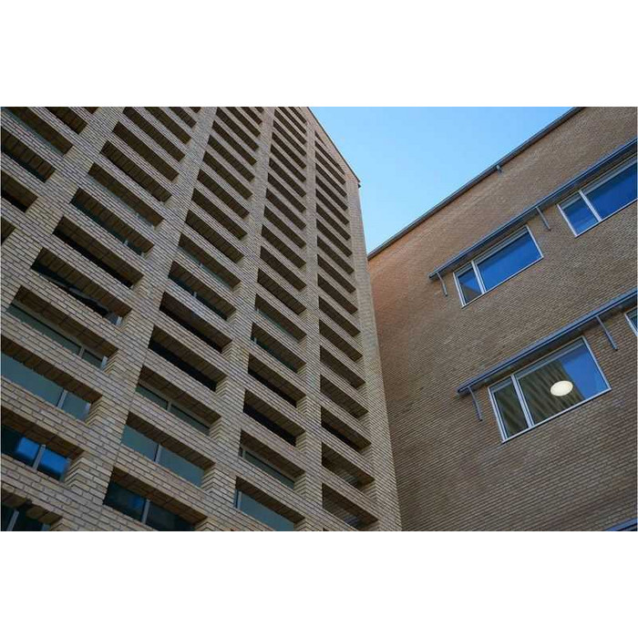 Кирпич облицовочный Randers Tegl Classica RT207, 215х102х65 мм фото 4