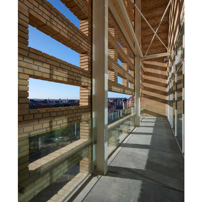 Кирпич облицовочный Randers Tegl Classica RT207, 215х102х65 мм фото 6