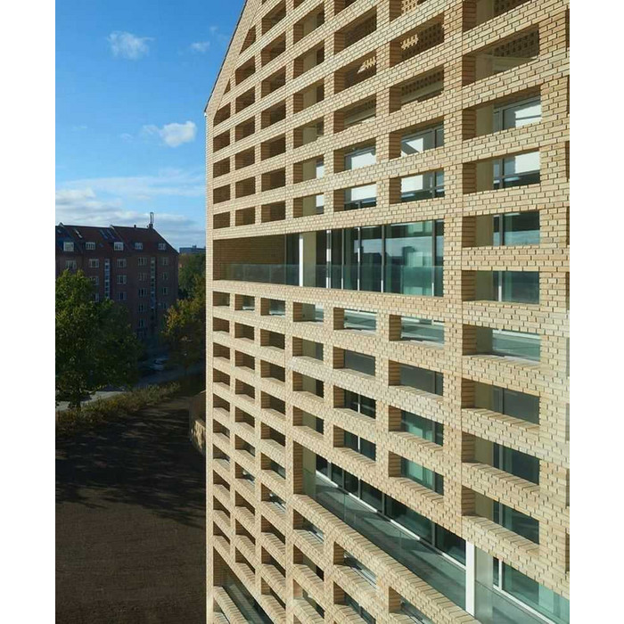 Кирпич облицовочный Randers Tegl Classica RT207, 215х102х65 мм фото 5