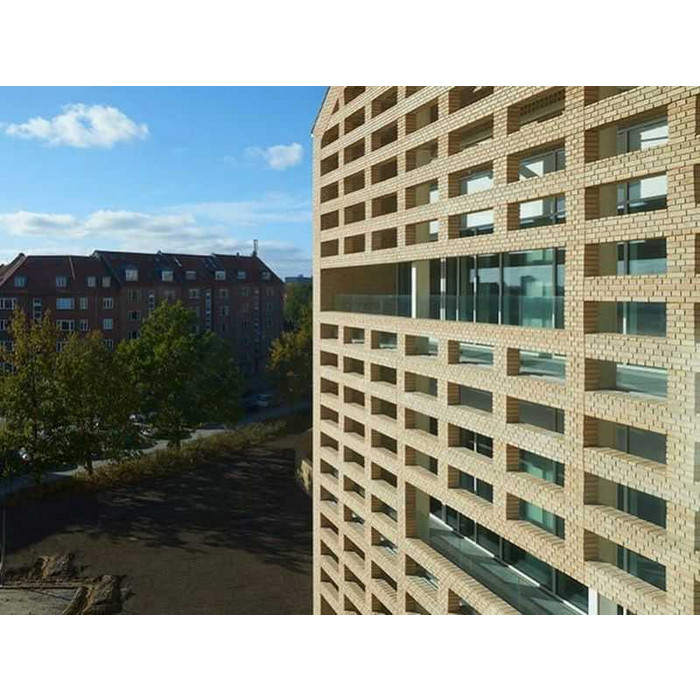 Кирпич облицовочный Randers Tegl Classica RT207, 215х102х65 мм фото 3